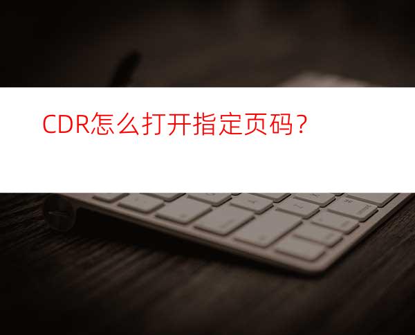 CDR怎么打开指定页码？