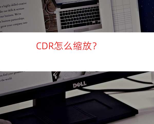 CDR怎么缩放？