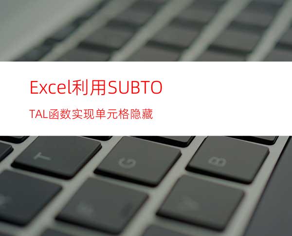 Excel利用SUBTOTAL函数实现单元格隐藏