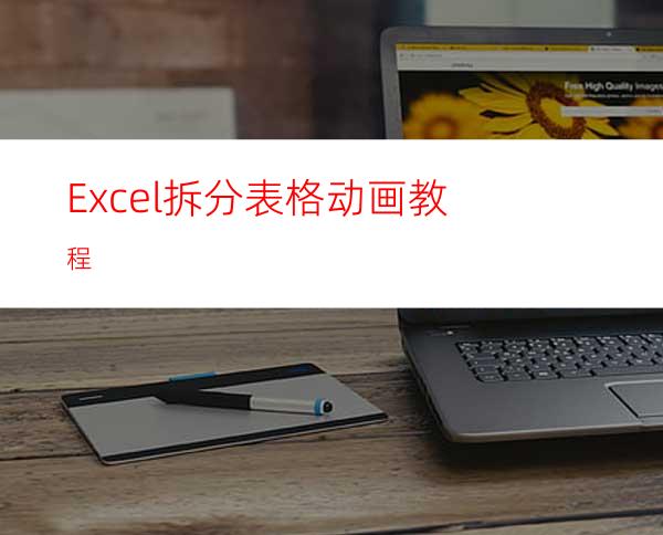 Excel拆分表格动画教程