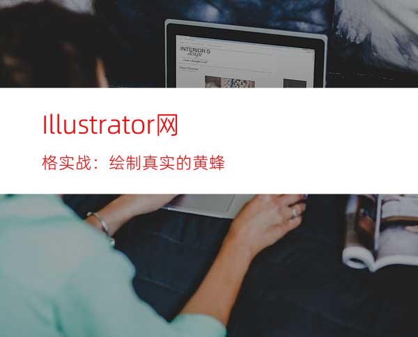 Illustrator网格实战：绘制真实的黄蜂