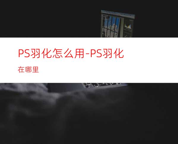 PS羽化怎么用-PS羽化在哪里