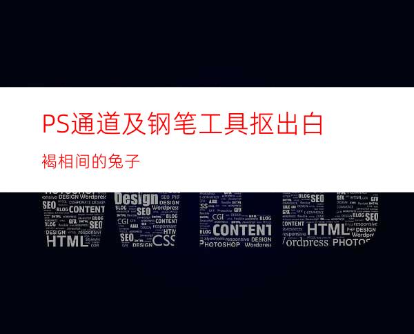 PS通道及钢笔工具抠出白褐相间的兔子
