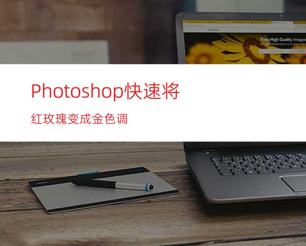 Photoshop快速将红玫瑰变成金色调