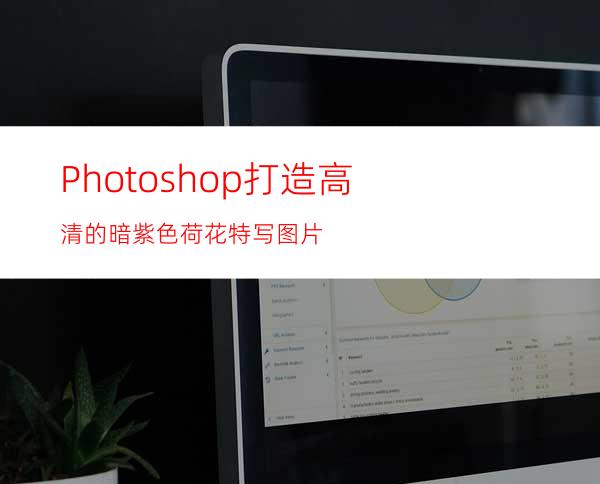 Photoshop打造高清的暗紫色荷花特写图片