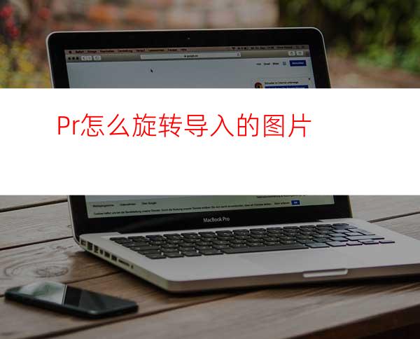 Pr怎么旋转导入的图片