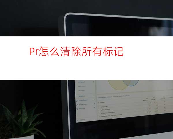 Pr怎么清除所有标记