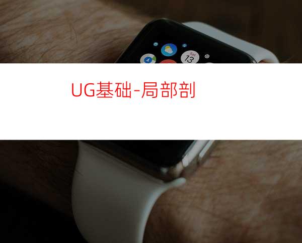 UG基础-局部剖