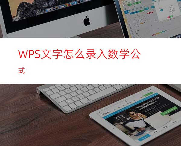 WPS文字怎么录入数学公式?