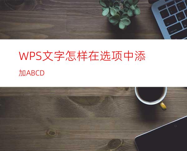 WPS文字怎样在选项中添加ABCD