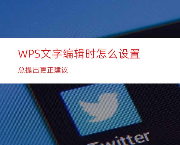 WPS文字编辑时怎么设置总提出更正建议?