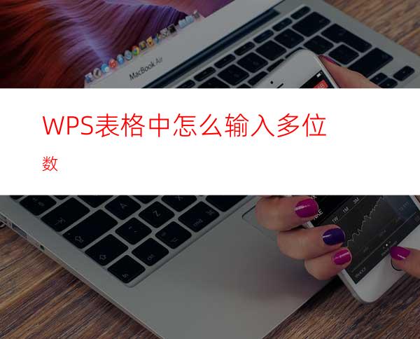 WPS表格中怎么输入多位数