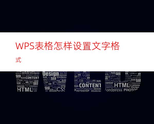 WPS表格怎样设置文字格式