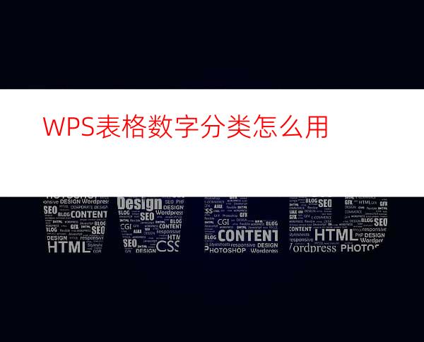 WPS表格数字分类怎么用