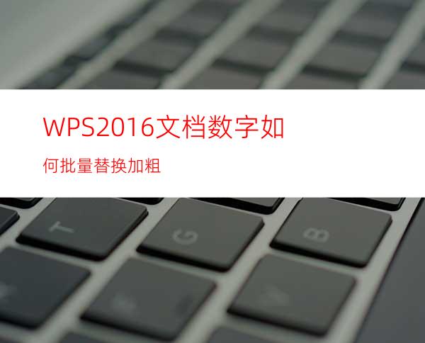 WPS2016文档数字如何批量替换加粗