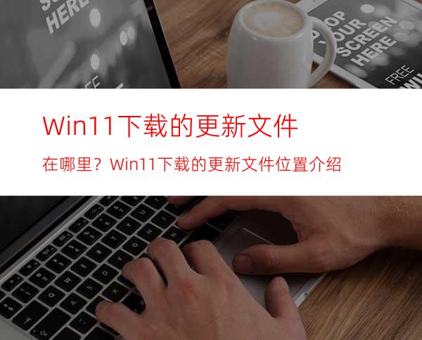 Win11下载的更新文件在哪里？Win11下载的更新文件位置介绍