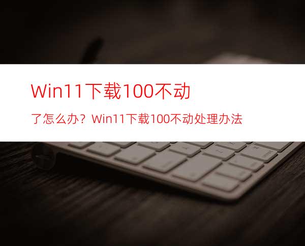 Win11下载100%不动了怎么办？Win11下载100%不动处理办法