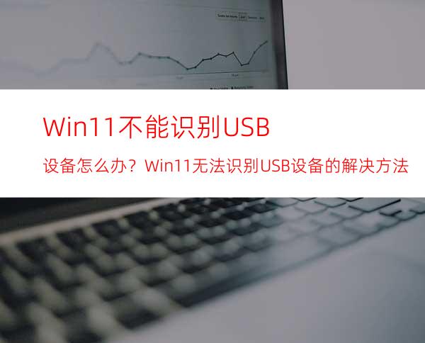 Win11不能识别USB设备怎么办？Win11无法识别USB设备的解决方法