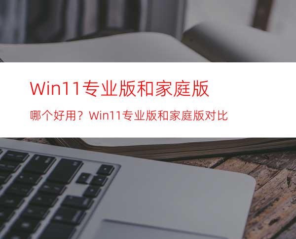 Win11专业版和家庭版哪个好用？Win11专业版和家庭版对比