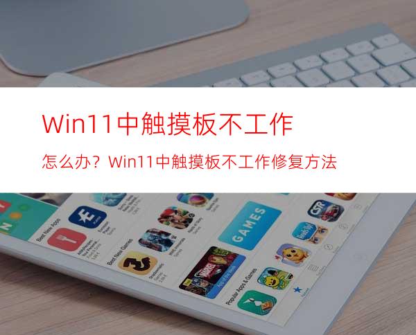Win11中触摸板不工作怎么办？Win11中触摸板不工作修复方法
