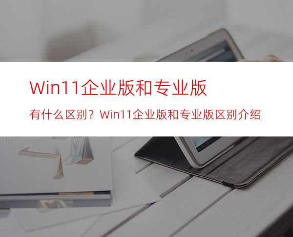 Win11企业版和专业版有什么区别？Win11企业版和专业版区别介绍