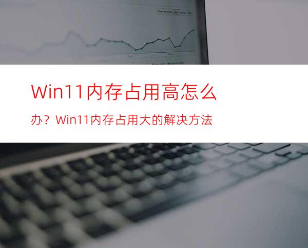 Win11内存占用高怎么办？Win11内存占用大的解决方法