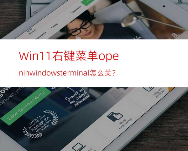 Win11右键菜单openinwindowsterminal怎么关？
