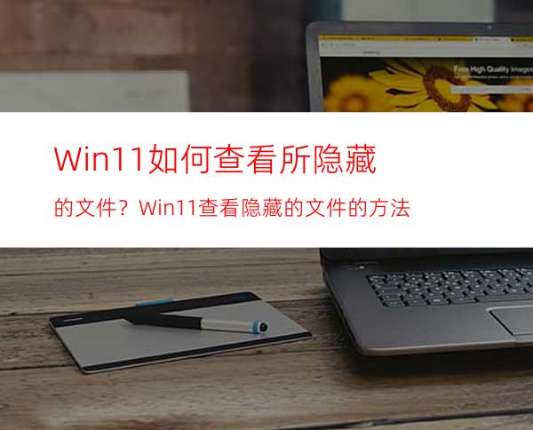 Win11如何查看所隐藏的文件？Win11查看隐藏的文件的方法