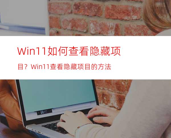 Win11如何查看隐藏项目？Win11查看隐藏项目的方法