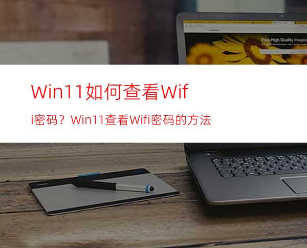 Win11如何查看Wifi密码？Win11查看Wifi密码的方法