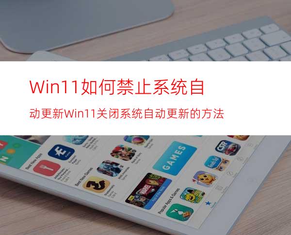 Win11如何禁止系统自动更新Win11关闭系统自动更新的方法