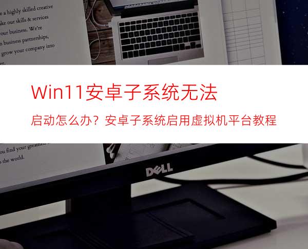 Win11安卓子系统无法启动怎么办？安卓子系统启用虚拟机平台教程