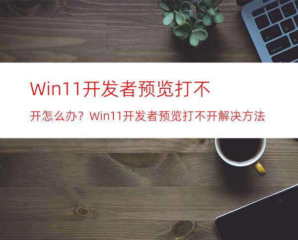 Win11开发者预览打不开怎么办？Win11开发者预览打不开解决方法