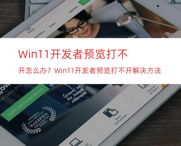 Win11开发者预览打不开怎么办？Win11开发者预览打不开解决方法