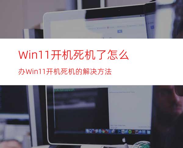 Win11开机死机了怎么办Win11开机死机的解决方法