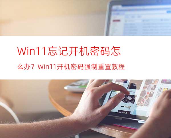 Win11忘记开机密码怎么办？Win11开机密码强制重置教程