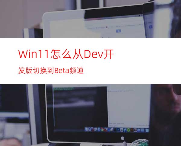 Win11怎么从Dev开发版切换到Beta频道