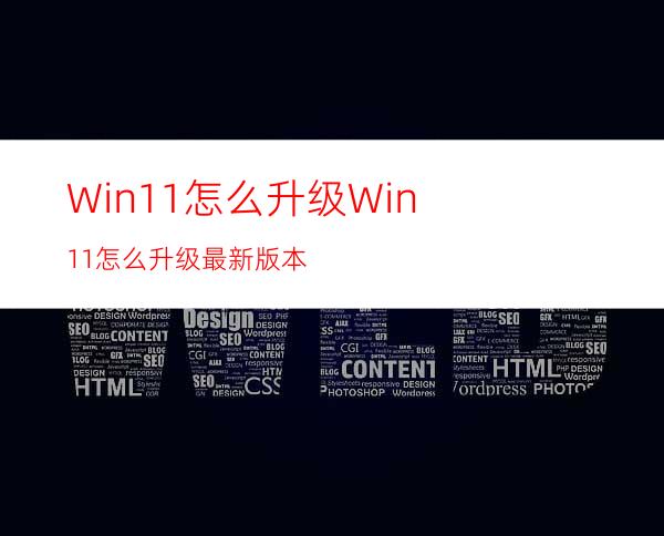 Win11怎么升级Win11怎么升级最新版本