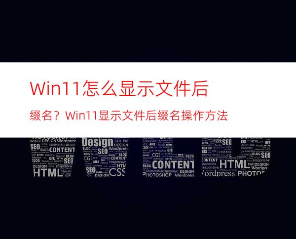 Win11怎么显示文件后缀名？Win11显示文件后缀名操作方法