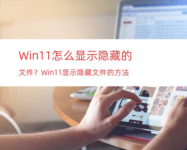 Win11怎么显示隐藏的文件？Win11显示隐藏文件的方法
