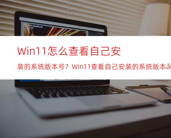 Win11怎么查看自己安装的系统版本号？Win11查看自己安装的系统版本号方法