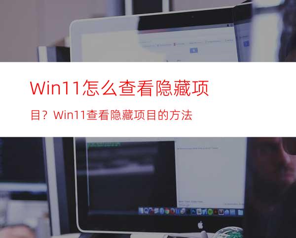 Win11怎么查看隐藏项目？Win11查看隐藏项目的方法