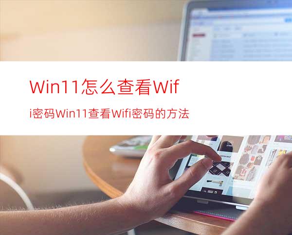 Win11怎么查看Wifi密码Win11查看Wifi密码的方法