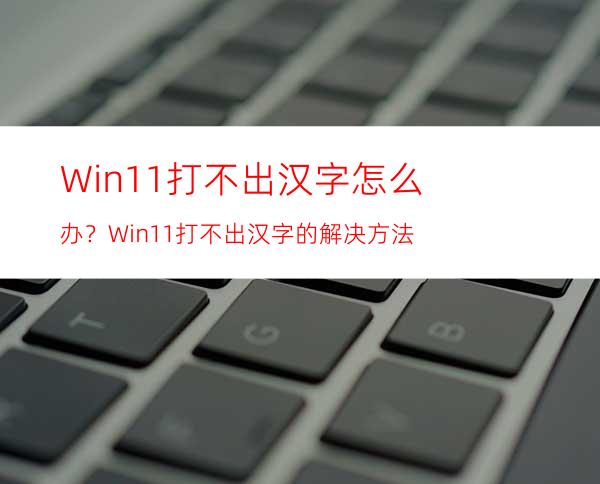 Win11打不出汉字怎么办？Win11打不出汉字的解决方法