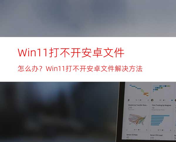 Win11打不开安卓文件怎么办？Win11打不开安卓文件解决方法