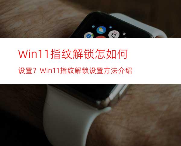 Win11指纹解锁怎如何设置？Win11指纹解锁设置方法介绍