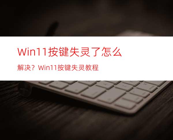 Win11按键失灵了怎么解决？Win11按键失灵教程