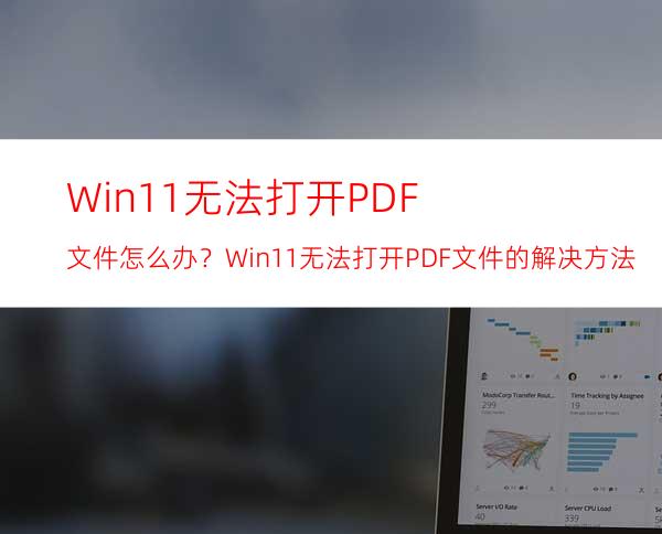 Win11无法打开PDF文件怎么办？Win11无法打开PDF文件的解决方法