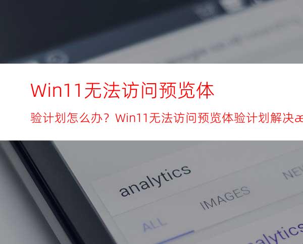 Win11无法访问预览体验计划怎么办？Win11无法访问预览体验计划解决方法