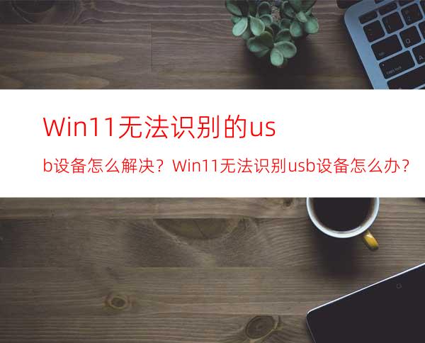 Win11无法识别的usb设备怎么解决？Win11无法识别usb设备怎么办？